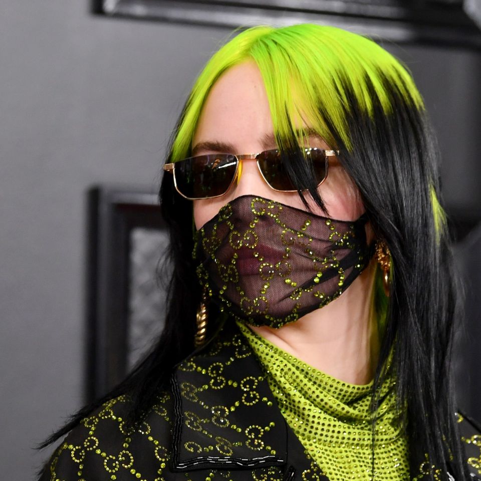 Billie Eilish, Body Shame, Body Shaming of Billie Eilish,  Instagram , TikTok,  Kardashians, paparazzi photograph of Billie Eilish, six-time Grammy-winning Singer